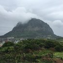 남경미락 이미지