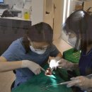 대신치과의원 이미지