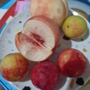 복싱스튜디오 운정점 이미지