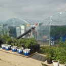 삼일농장 이미지