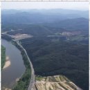 천년나무 세종부동산중개사사무소 | 어진동공인중개사 생명나무부동산, 토지 거래 걱정 이젠 없어요