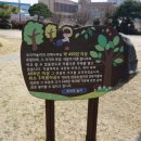 오리야오리야 이미지