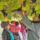 충도3리(상양) 이미지