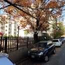 소사로793번길 이미지