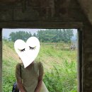 더 테쉬폰 이미지