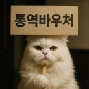 중랑구수어통역센터 | 청각장애인 통역바우처 신청부터 사용처, 수어통역 서비스까지 총정리 (2025 최신판)