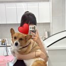 그루밍 샵 제제 이미지