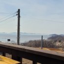 산당화가 피는집 이미지