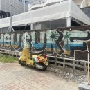 죽도관광지화장실 | 양양 서핑강습 추천 게하 비용 죽도해수욕장 인구서프 강습후기