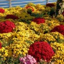 중앙대로186번길 이미지