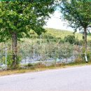 능금주유소 이미지