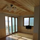 대인민박 이미지