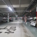 나루초등학교 이미지