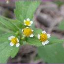 음지마을 이미지