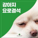 미사동물병원 이미지