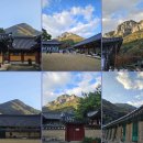 장성시내길 이미지