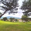 초정힐링캠핑장 | [여행/애견 동반 가능] 깔끔하고 프라이빗 한 청주 초정 힐링 캠핑장 내돈내산 후기