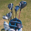 고려대학교안경콘택트 이미지