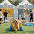 미음펫푸드 | 국제 강아지의 날 맞아 식품업계, 댕댕 펫푸드·체험 행사 풍성