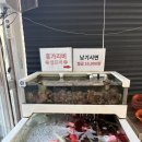마시란로 | 을왕리 조개구이 맛집 오션뷰 애견동반식당 마시란로 235 조개구이