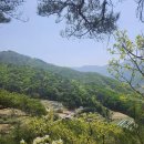 똑순이하우스 이미지