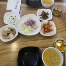 독도볼태기 이미지