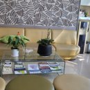 석성화 한의원 이미지