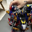 렉스디테일 이미지