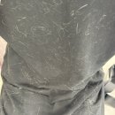 청아동물병원 이미지