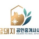 메타과학교습소