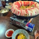 모란수산 | (내돈내산) 모란맛집 / 모란술집 추천, 압구정 수산시장 갔다 온 후기 !