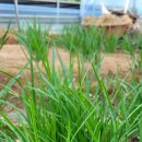 정생농장 이미지