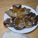 늘푸른우리