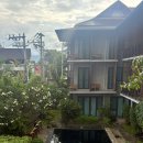 우쿨렐레와 떠나는 ost 여행 | 치앙마이 여행 준비물 (2월 날씨, 유심사 이심 추천, 호텔, 맛집 리스트)