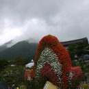 산청각 식육식당 | 2013 &#39;산청세계전통의약엑스포&#39; 다녀 오셨나요? (1편)