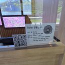 세계유산코스 | [공주 여행] 유네스코 세계문화유산 공산성 방문 후기와 산책 코스 꿀팁