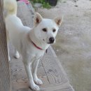 진도관광모텔 | 진도 숙소 추천 2025 (가성비, 가족여행, 최신호텔)