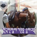 에이원승마클럽