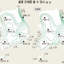 2008년 꽃축제 정보 이미지