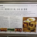 스파레이 이미지