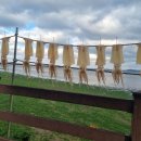 목화휴게소 이미지