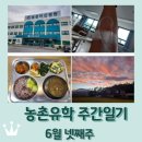 김성훈이비인후과의원 | 보성 농촌유학 주간일기 6월 넷째주 / 아팠음 ㅠㅠ / 급식 공개의 날