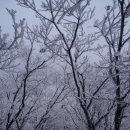 아이린어린이집-1구간 | [20160214] 지리산 바래봉에 놀러온 소백산 칼바람 ㅠㅠ