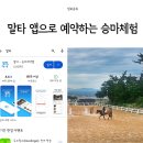 아이이어앱 | 말타 앱 사용 후기 어린이승마 체험 알아보기