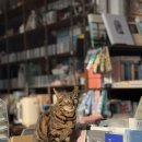 안동풍경 호스텔 n LIBRARY 이미지