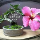 그곳으로 이미지