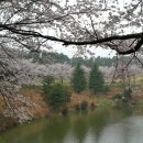 울산컨트리클럽 이미지