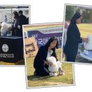 한국애견대학 이미지