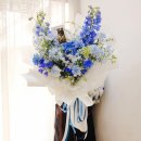 콩쓰플레르
