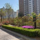 삼숭초등학교 이미지